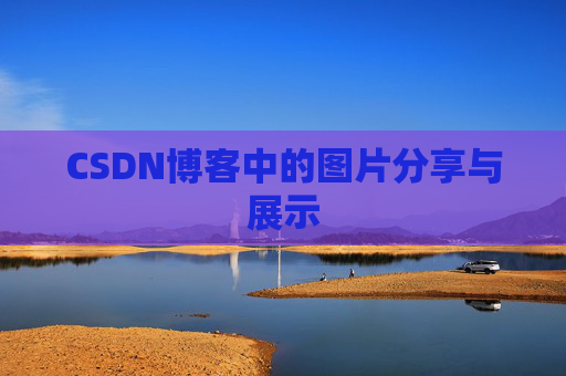 CSDN博客中的图片分享与展示